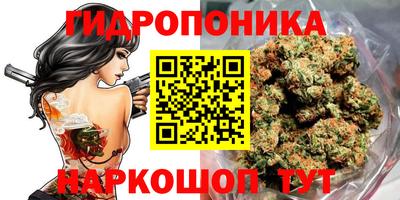 apvp Кунгур